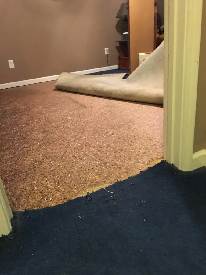 Carpet pad removal revealing water damage during Drying & Dehumidification in Seneca Falls